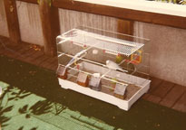 På verandaen i Pilestredet i 1986