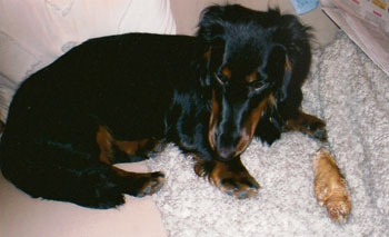 Linus