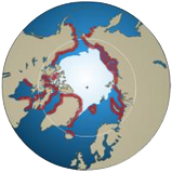 Hvalrossens leveområde