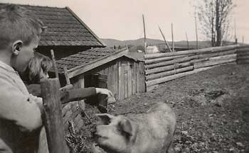 1954