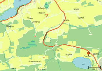 Kart over omgivelsene