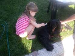 Nikoline og Linus