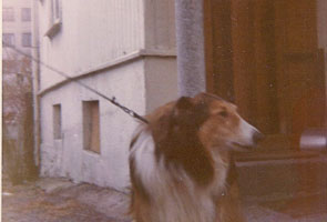 Scotty ved Inngangsdøren