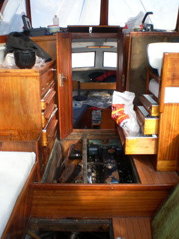 Svanen 16/4-2010