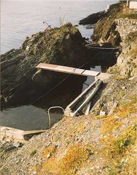 Bilde av "den lille øya"