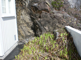 Liljene mine