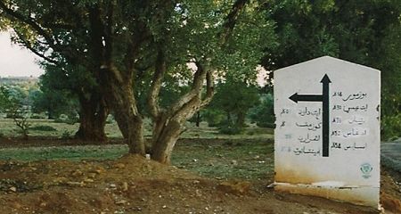 Her hadde det vært en fordel å kunne arabisk