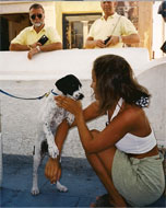 Pernille fant en søt hund