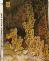 Fantastisk grotte